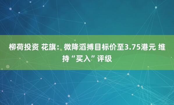 柳荷投资 花旗：微降滔搏目标价至3.75港元 维持“买入”评级