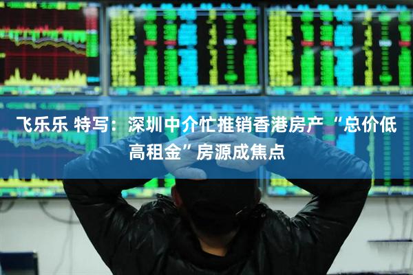飞乐乐 特写：深圳中介忙推销香港房产 “总价低高租金”房源成焦点